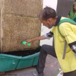 Source identification and Reduction by temephos on VBD during H.H visit at slum Nagla Haweli PC- rajesh FHI-EMBED-HEALTH department -Agra 31.05.2024