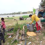 Zone 1-Soniya Gandhi Nagar-Larva Serve-19-04-2024